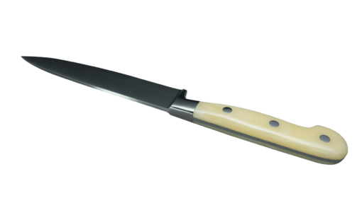 Coltellerie Berti Collezione Cucina Pro Carving knife Plexiglass Crema 16 cm | 3D Gravur Konfigurator | 4